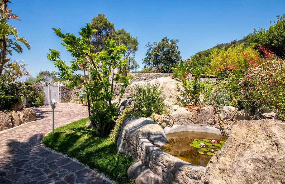 Villa Dei Lecci - 7 Luxury Villas With Private Pool Or Jacuzzi-1
