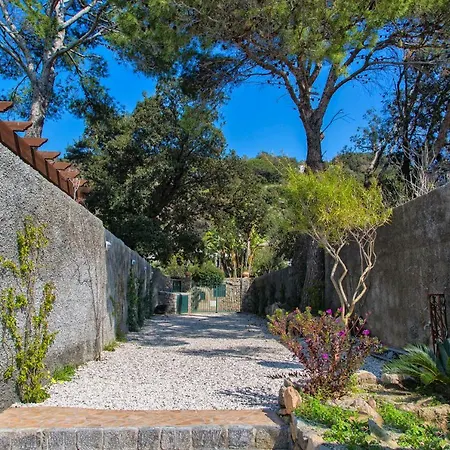 Villa dei Lecci - 7 Luxury villas with private pool or jacuzzi-2
